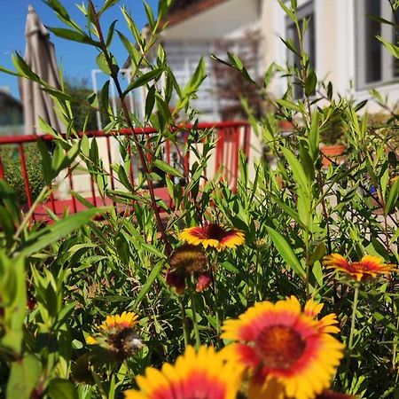 Campagn'Arts Bed & Breakfast Villechetif Bagian luar foto